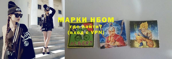 индика Богородск