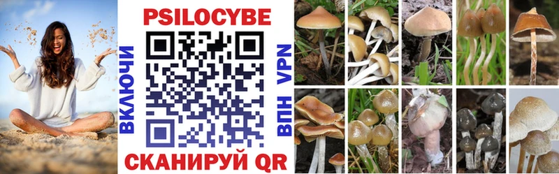 магазин продажи наркотиков  Болгар  Галлюциногенные грибы GOLDEN TEACHER 